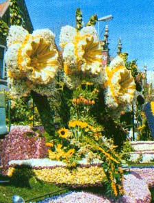Jaarlijkse Bloemencorso