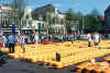 kaasmarktalkmaar.jpg (94589 bytes)